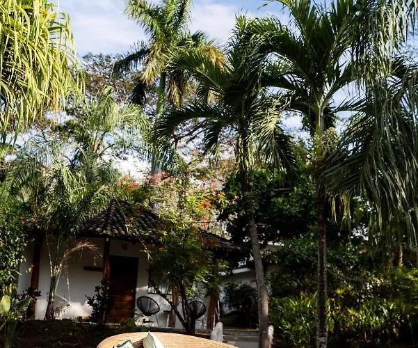 Soulshine Hotel
