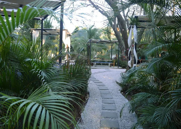 Soulshine 3* Playa Avellana
